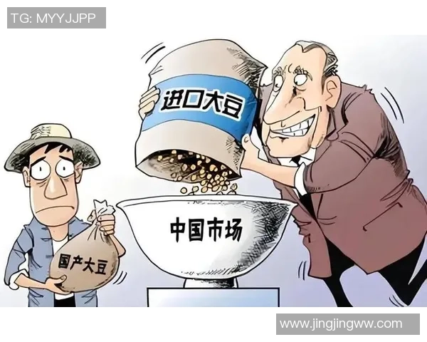 全球粮食安全危机加剧亟需国际合作应对挑战与机遇